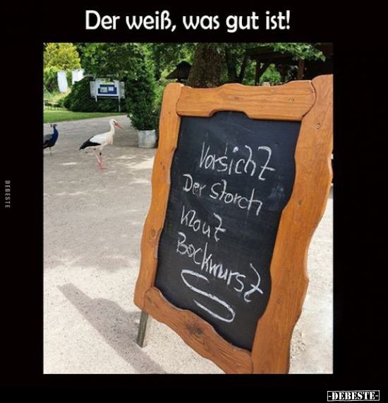 Der weiß, was gut ist!.. - Lustige Bilder | DEBESTE.de