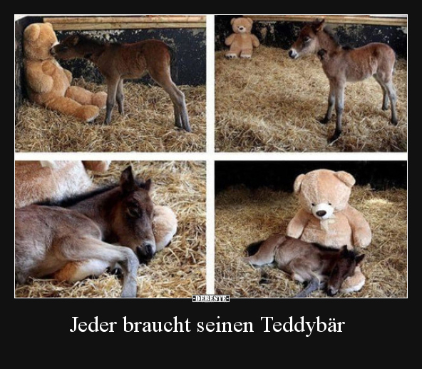 Jeder braucht seinen Teddybär.. - Lustige Bilder | DEBESTE.de