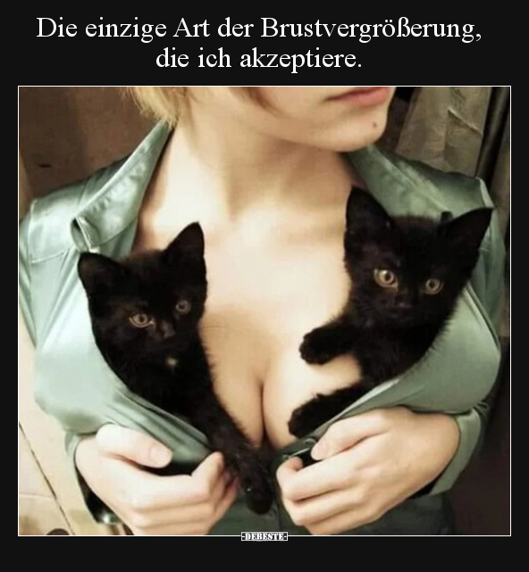 Die einzige Art der Brustvergrößerung, die ich.. - Lustige Bilder | DEBESTE.de