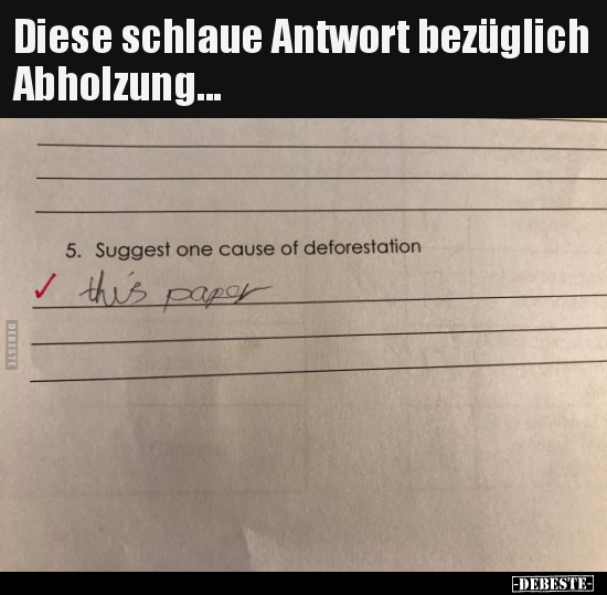 Diese schlaue Antwort bezüglich Abholzung... - Lustige Bilder | DEBESTE.de
