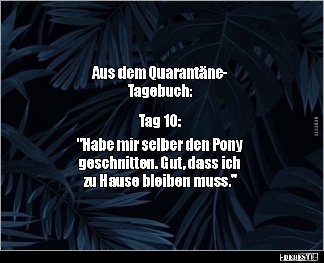 Aus dem Quarantäne- Tagebuch: Tag 10:"Habe mir.." - Lustige Bilder | DEBESTE.de