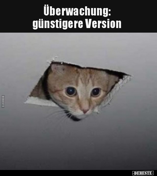 Überwachung: günstigere Version.. - Lustige Bilder | DEBESTE.de