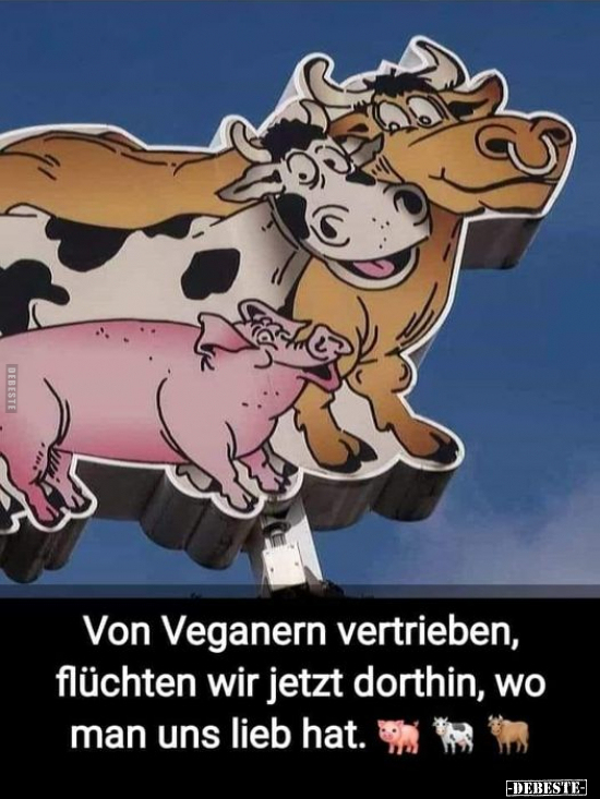 Von Veganern vertrieben, flüchten wir jetzt dorthin, wo man.. - Lustige Bilder | DEBESTE.de