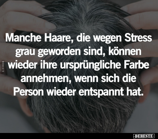 Manche Haare, die wegen Stress grau geworden sind.. - Lustige Bilder | DEBESTE.de