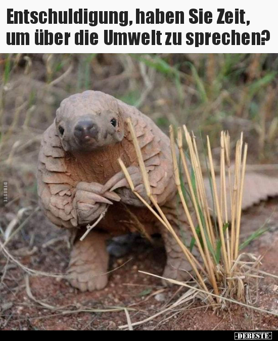 Entschuldigung, haben Sie Zeit, um über die Umwelt zu.. - Lustige Bilder | DEBESTE.de