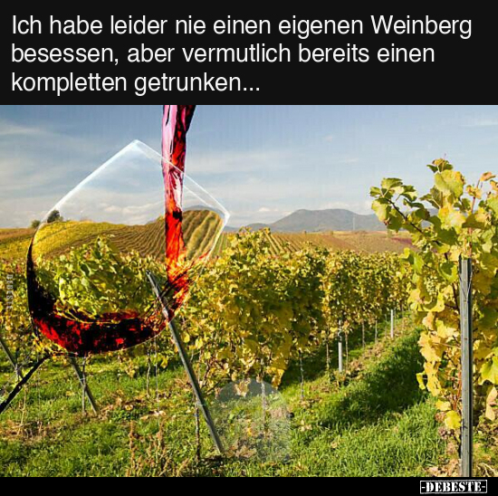Ich habe leider nie einen eigenen Weinberg besessen.. - Lustige Bilder | DEBESTE.de