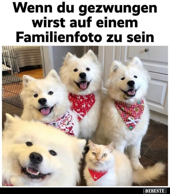 Wenn du gezwungen wirst auf einem Familienfoto.. - Lustige Bilder | DEBESTE.de