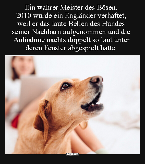Ein wahrer Meister des Bösen. 2010 wurde ein Engländer.. - Lustige Bilder | DEBESTE.de