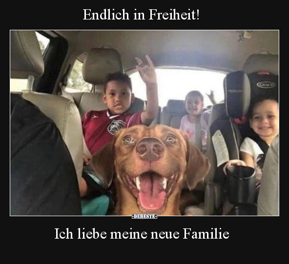 Endlich in Freiheit! Ich liebe meine neue Familie.. - Lustige Bilder | DEBESTE.de