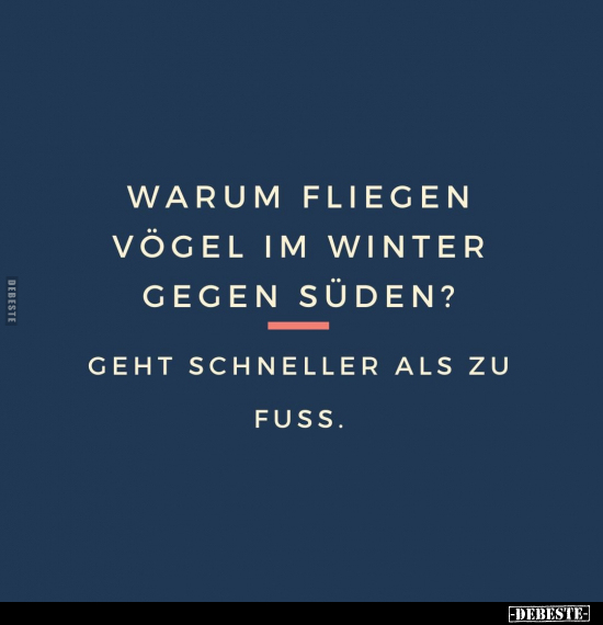 Warum fliegen Vögel im Winter gegen Süden?... - Lustige Bilder | DEBESTE.de