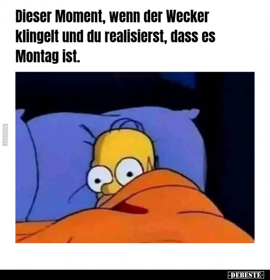 Dieser Moment, wenn der Wecker klingelt und du realisierst.. - Lustige Bilder | DEBESTE.de