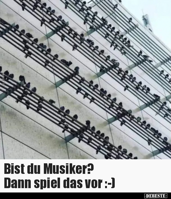 Bist du Musiker? Dann spiel das vor :-) - Lustige Bilder | DEBESTE.de
