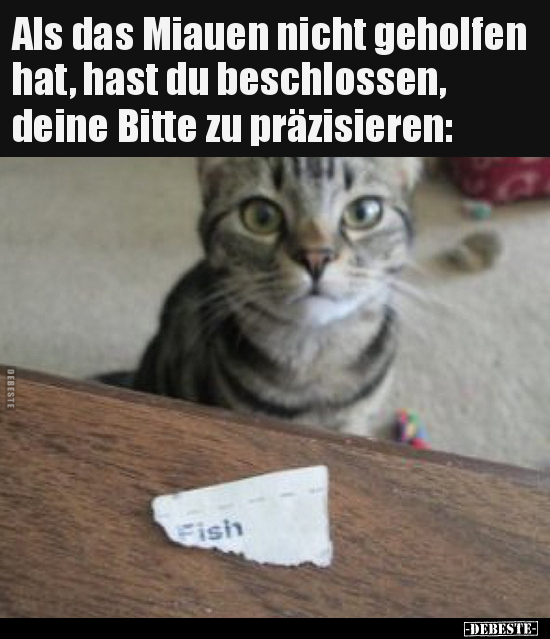 Als das Miauen nicht geholfen hat, hast du beschlossen.. - Lustige Bilder | DEBESTE.de
