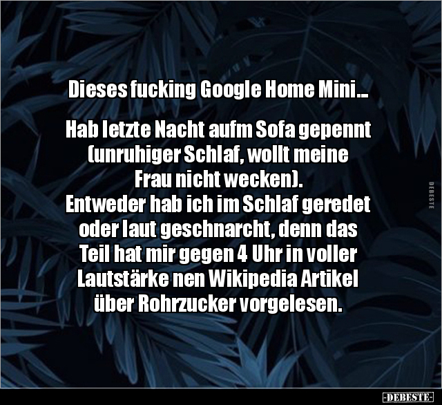 Dieses f*cking Google Home Mini... Hab letzte Nacht aufm.. - Lustige Bilder | DEBESTE.de