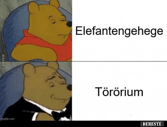 Elefantengehege vs. Törörium.. - Lustige Bilder | DEBESTE.de