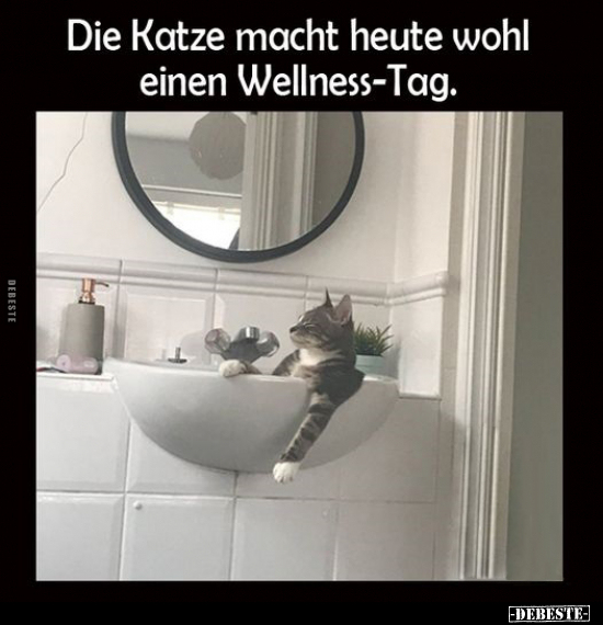 Die Katze macht heute wohl einen Wellness-Tag... - Lustige Bilder | DEBESTE.de