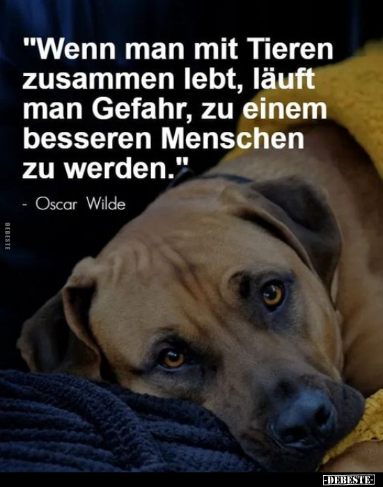 "Wenn man mit Tieren zusammen lebt, läuft man Gefahr, zu.." - Lustige Bilder | DEBESTE.de