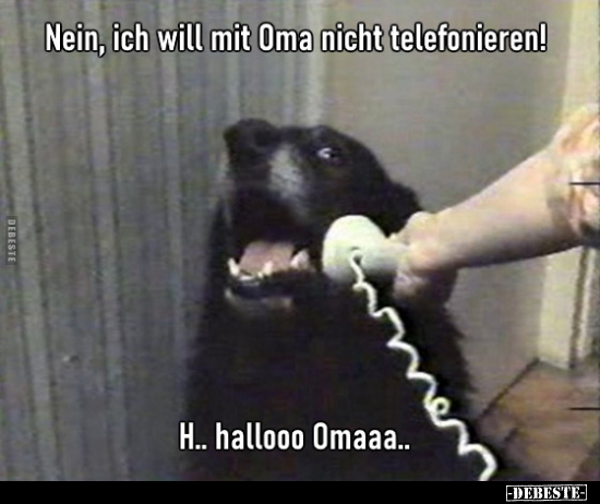Nein, ich will mit Oma nicht telefonieren!.. - Lustige Bilder | DEBESTE.de