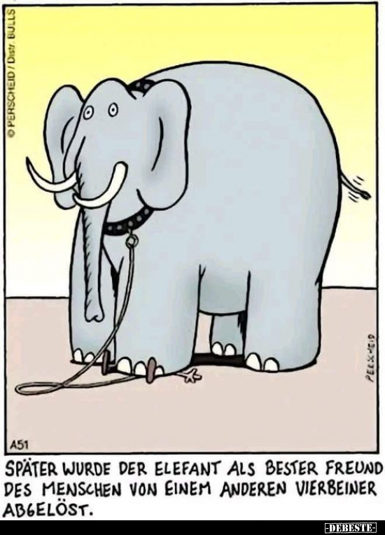 Später wurde der Elefant als bester Freund des Menschen von.. - Lustige Bilder | DEBESTE.de