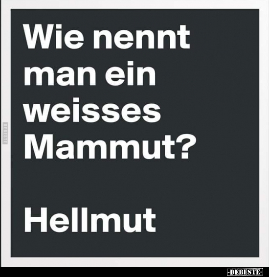 Wie nennt man ein weisses Mammut? - Lustige Bilder | DEBESTE.de