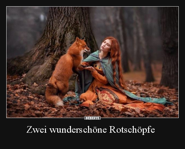 Zwei wunderschöne Rotschöpfe.. - Lustige Bilder | DEBESTE.de