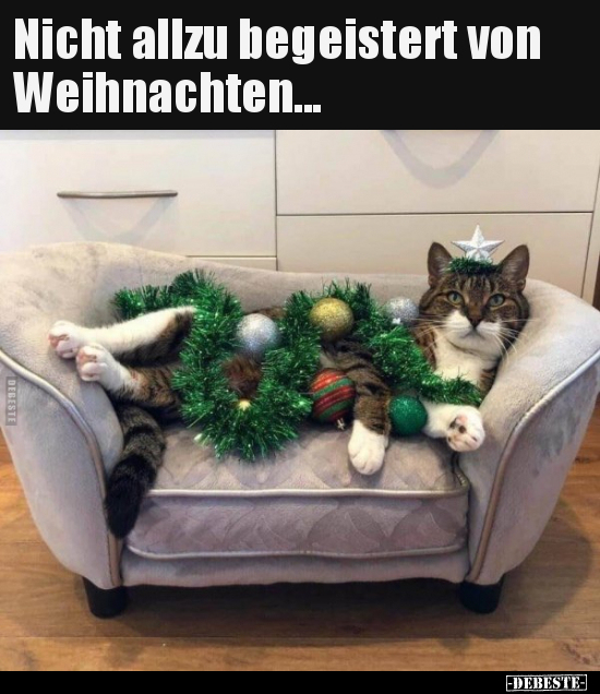 Nicht allzu begeistert von Weihnachten... - Lustige Bilder | DEBESTE.de