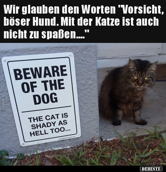 Wir glauben den Worten "Vorsicht, böser Hund. Mit der Katze.." - Lustige Bilder | DEBESTE.de