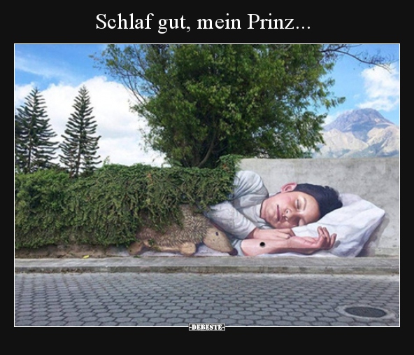 Schlaf gut, mein Prinz... - Lustige Bilder | DEBESTE.de