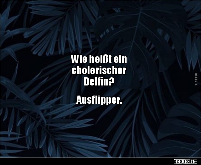 Wie heißt ein cholerischer.. - Lustige Bilder | DEBESTE.de