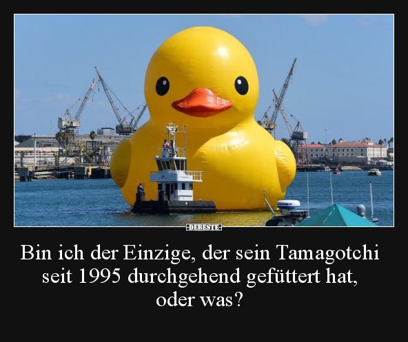 Bin ich der Einzige, der sein Tamagotchi seit 1995.. - Lustige Bilder | DEBESTE.de