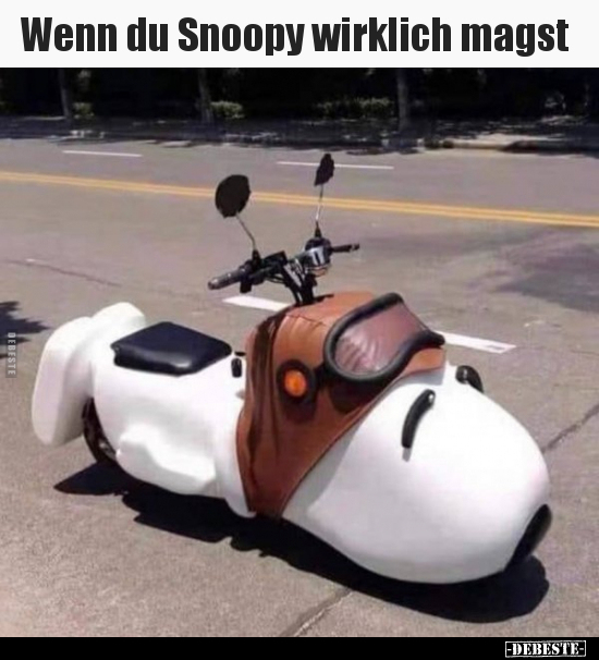 Wenn du Snoopy wirklich magst.. - Lustige Bilder | DEBESTE.de