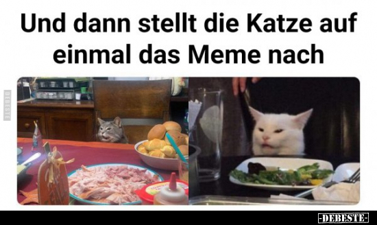 Und dann stellt die Katze auf einmal das Meme nach.. - Lustige Bilder | DEBESTE.de