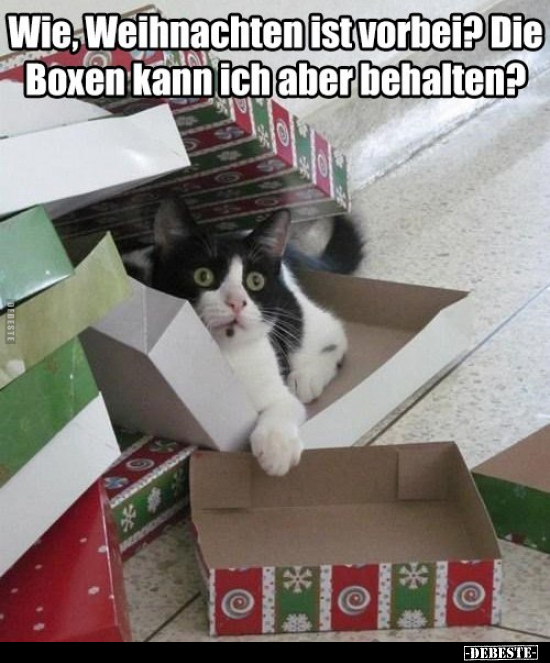 Wie, Weihnachten ist vorbei? Die Boxen kann ich aber.. - Lustige Bilder | DEBESTE.de