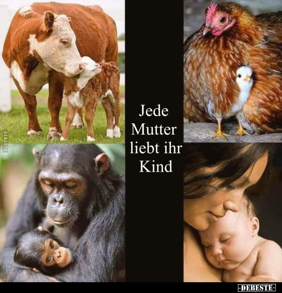 Jede Mutter liebt ihr Kind.. - Lustige Bilder | DEBESTE.de