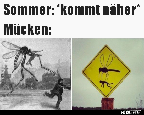 Sommer: *kommt näher* Mücken.. - Lustige Bilder | DEBESTE.de