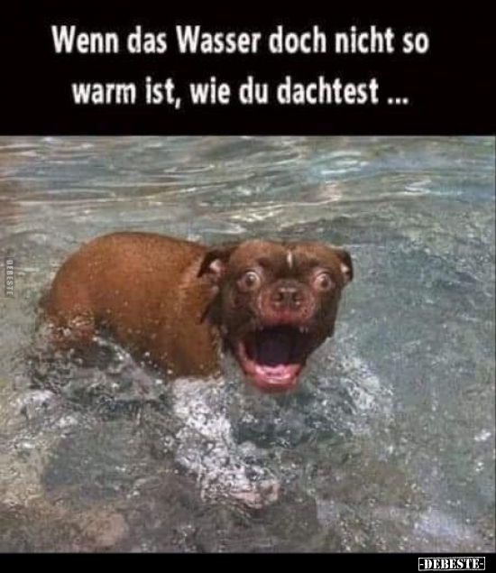 Wenn das Wasser doch nicht so warm ist, wie du.. - Lustige Bilder | DEBESTE.de