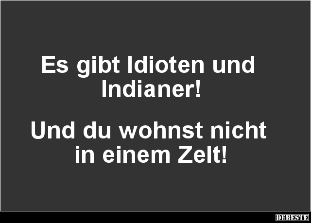 Es gibt Idioten und Indianer! - Lustige Bilder | DEBESTE.de