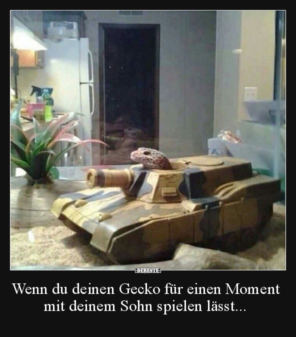 Wenn du deinen Gecko für einen Moment mit deinem Sohn.. - Lustige Bilder | DEBESTE.de