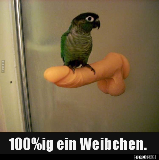 100%ig ein Weibchen... - Lustige Bilder | DEBESTE.de