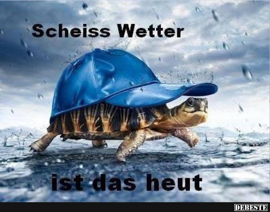 Scheiss Wetter ist das heut.. - Lustige Bilder | DEBESTE.de