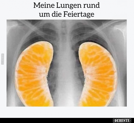Meine Lungen rund um die Feiertage.. - Lustige Bilder | DEBESTE.de