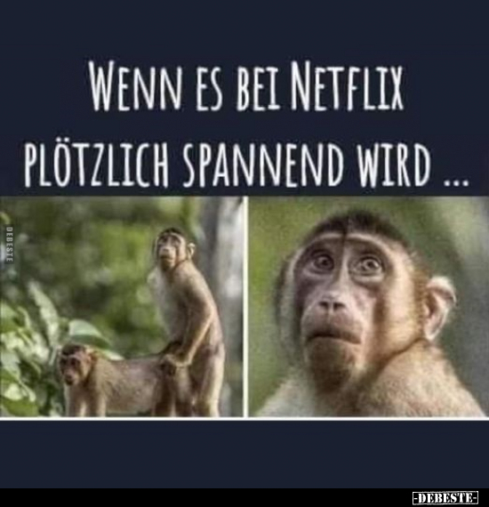 Wenn es bei Netflix plötzlich spannend wird... - Lustige Bilder | DEBESTE.de