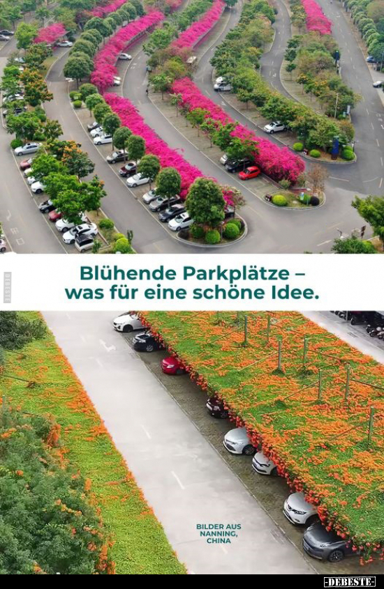 Blühende Parkplätze - was für eine schöne Idee... - Lustige Bilder | DEBESTE.de