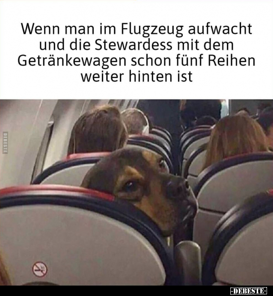 Wenn man im Flugzeug aufwacht und die Stewardess mit dem.. - Lustige Bilder | DEBESTE.de