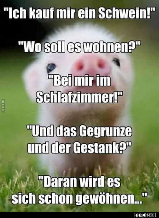 "Ich kauf mir ein Schwein!" ... - Lustige Bilder | DEBESTE.de