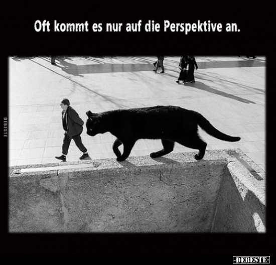 Oft kommt es nur auf die Perspektive an... - Lustige Bilder | DEBESTE.de
