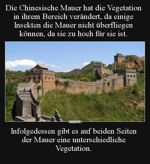 Die Chinesische Mauer hat die Vegetation in ihrem Bereich.. - Lustige Bilder | DEBESTE.de