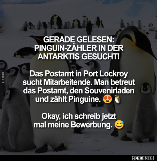 Pinguin-Zähler in der Antarktis gesucht.. - Lustige Bilder | DEBESTE.de