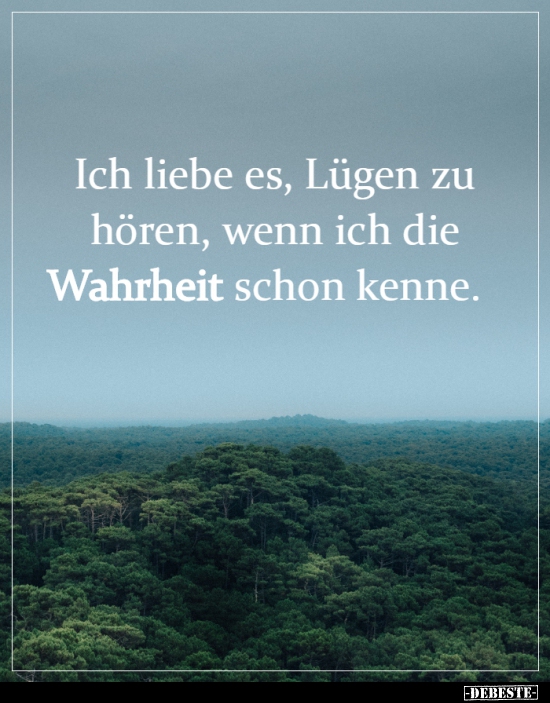 Ich liebe es, Lügen zu hören, wenn ich die Wahrheit schon.. - Lustige Bilder | DEBESTE.de