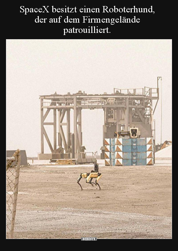 SpaceX besitzt einen Roboterhund, der auf dem.. - Lustige Bilder | DEBESTE.de